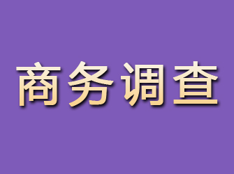 拜泉商务调查